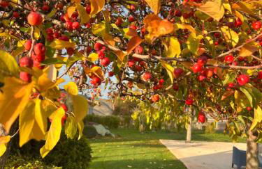 Espacio Shangrila.One - Foto 18