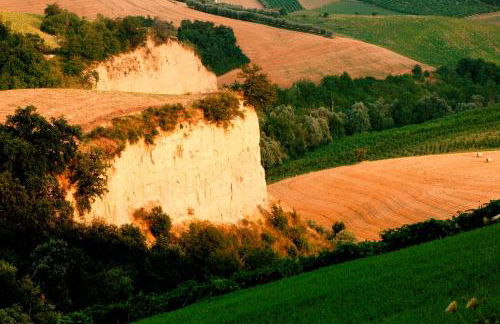 Agriturismo Fiorano - Foto 59