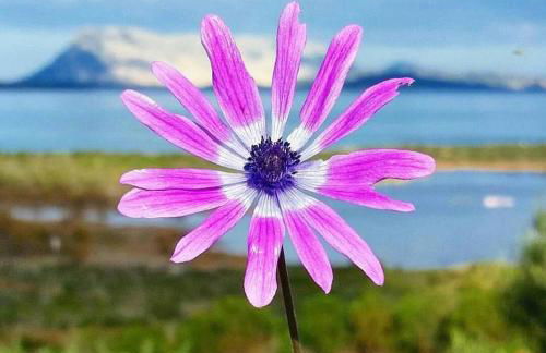 Near The Sea - Foto 28