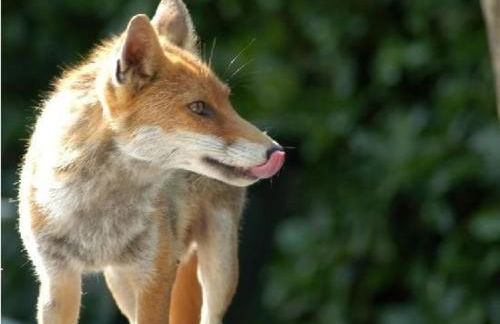 La Cittadella Dei Monti Sibillini - Foto 69