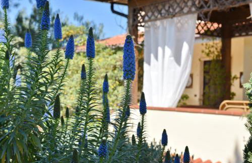 Villa Tina - Foto 14