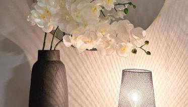 Casinha da Ria II - Foto 3