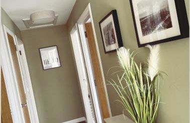 Malva - Modern 2 Bedroom Bungalow in Wick Sleeps 4 with private parking - NC500 Route - Photo 7