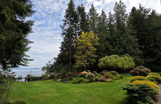 Sea La Vie Rare Peaceful Hidden Gem - Photo 28