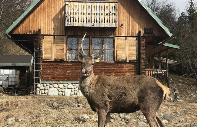 Chata Retro - Photo 21