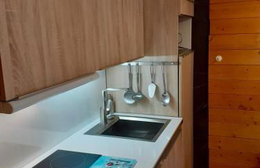 Studio centre station AURON 4 personnes WIFI - Foto 6