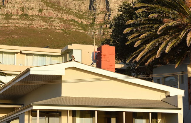 51 On Camps Bay - Foto 53