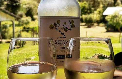 CHALÉ ESTÂNCIA OURO VERDE - Photo 79