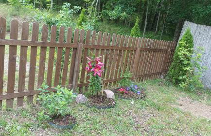 Domek Zielenina - Foto 43