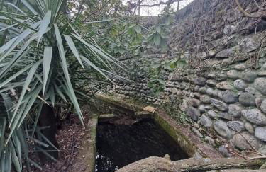 Gîte 1 "Mimosa" aux Magnolias - Foto 23