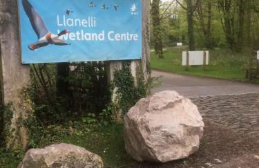 Modern 1 bed apartment next to beach and golf course - Foto 42