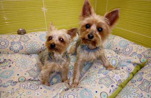 Casa Rural "El Paseo del libro" - Foto 27