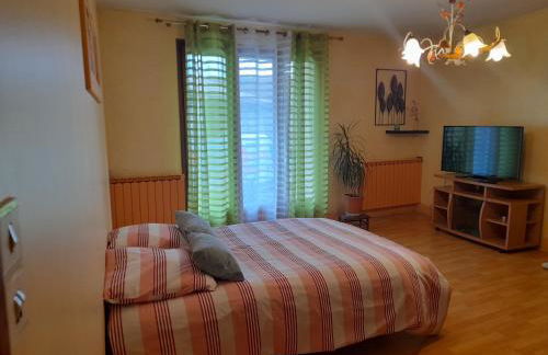 Voiron grande maison - Foto 24