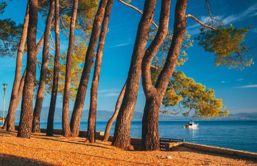 Apartments Bella Vita 1 - Foto 18