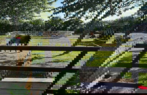 Equestrian Retreat - Sleeps 6 & Bbq - Foto 17