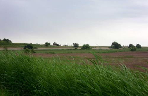 Pühler - Ferienwohnung Buchfink - Foto 27