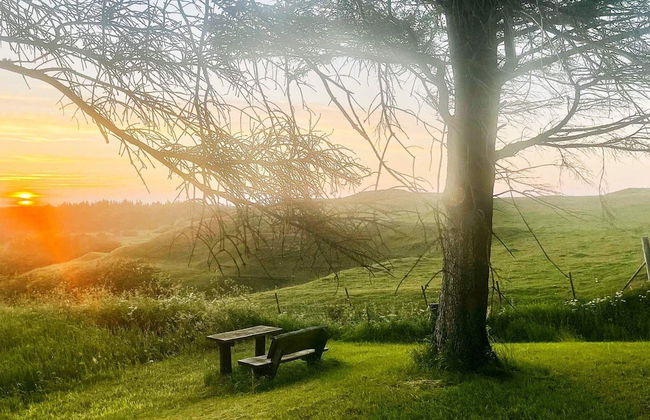 6 Person Holiday Home in Frostrup - Foto 20