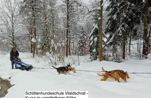 Ferienwohnung Bärnbachl - Foto 23
