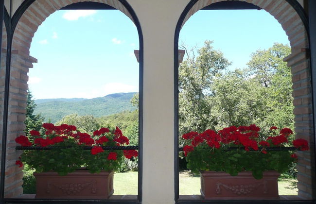 Agriturismo Colli di Travale - Foto 40