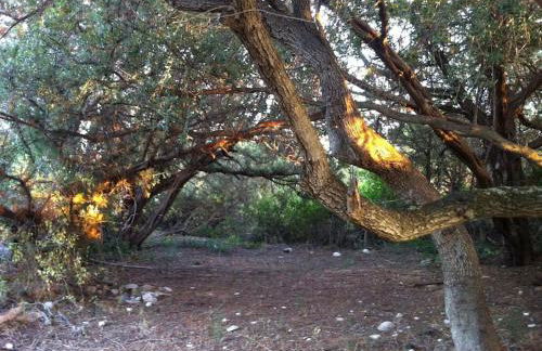 Vounaki Seaside Dreamland! - Foto 63