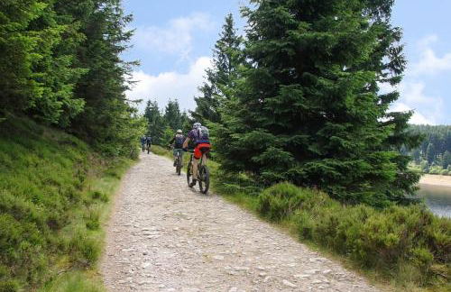 Ferienhaus Nr 32, Typ A, Ferienanlage Blauvogel, Hasselfelde, Harz - Foto 29