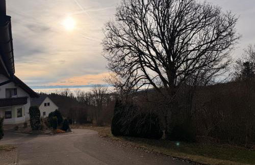 Kuckucksnest - Foto 33