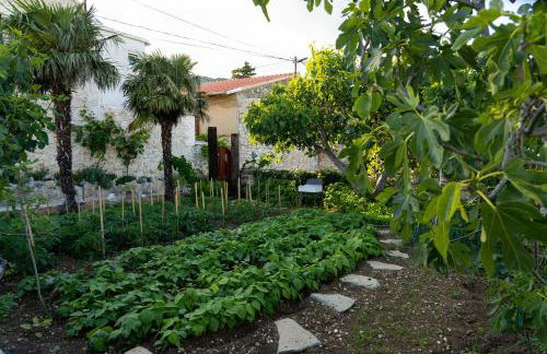 Holiday home Leptir - Foto 43