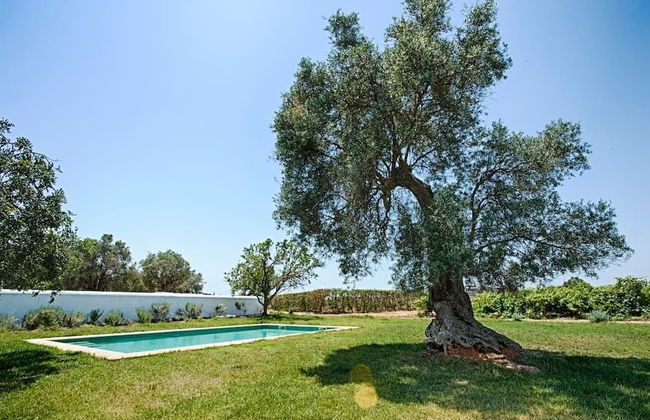 Morgado do Quintao - Foto 59