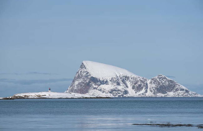 Excursão ao fiorde e ilha de Kvaløya - Foto 7