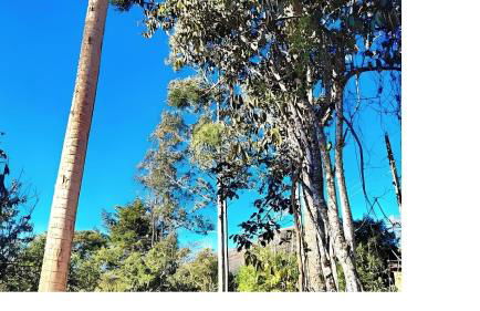 Chalé Sementes de Fé terras altas Nogueira - Foto 47