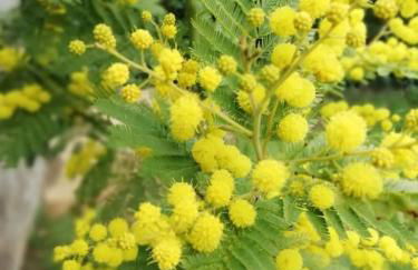Calme et sérénité au gîte des hortensias - Foto 24