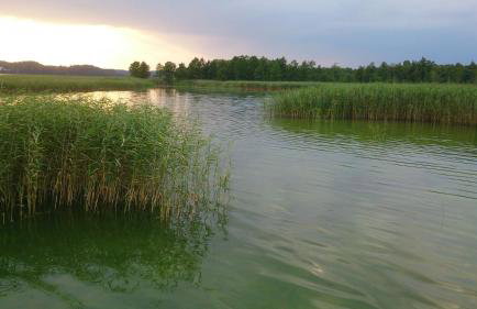 Dom Nad Jeziorem Staw - Foto 30