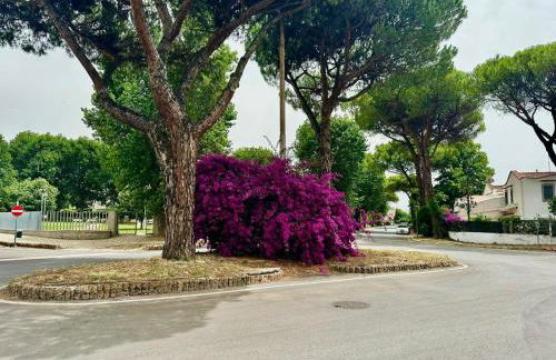 CASA MILA White - Foto 53