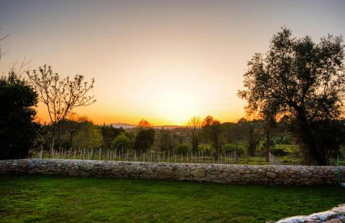 Casa do Ribeiro - Foto 41