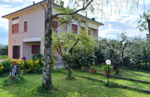 La Casa dell'Olivo - Foto 1