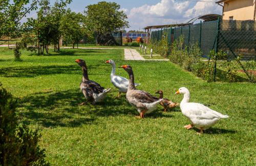Agriturismo il Pollino - Foto 5