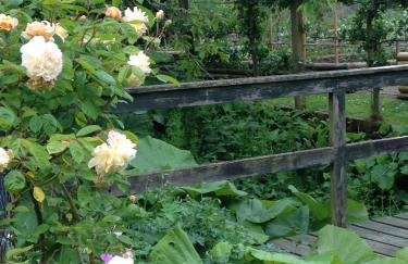 Hewletts Mill - Foto 25