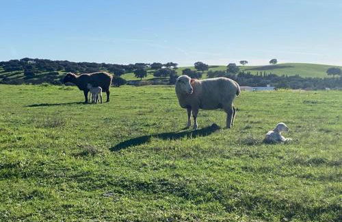 Casa Bendi - Foto 32