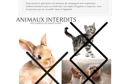 Sur le Quai - Vue sur le port - Extérieur Cosy - Photo 47