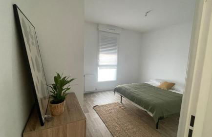 Appartement Cosy et chaleureux proche des grandes entreprises Toulousaine - Photo 29