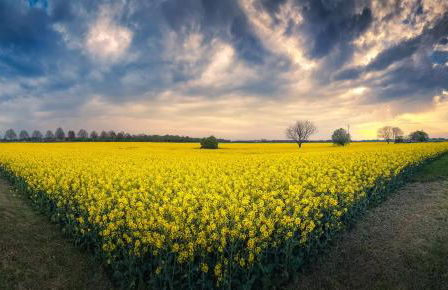 Haus Seestern - Foto 28