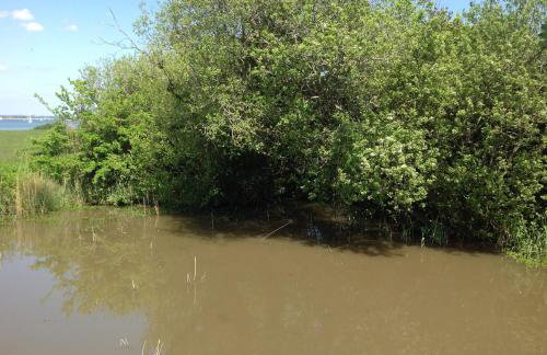 Stable Cottages - Foto 36