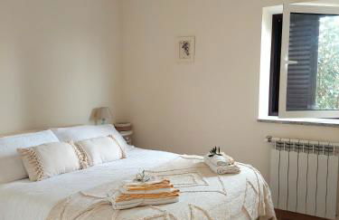 A Casa do Soito - Foto 39