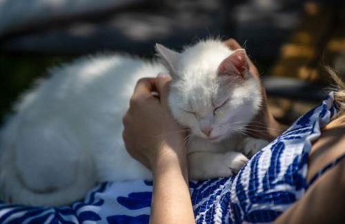 Ferienlandhaus Brunner - Foto 25