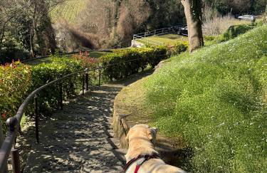 Studio Ebi Vacation - Lazise - Foto 37