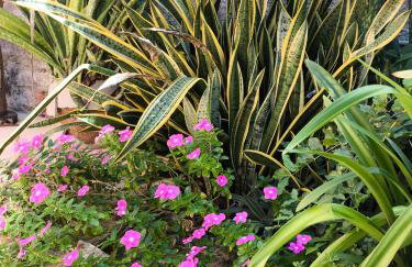 Casa Mari Suites - Foto 4