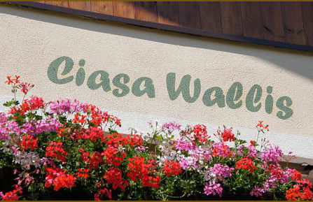 Ciasa Wallis - Foto 8