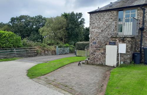 Three Little Pigs - Foto 25