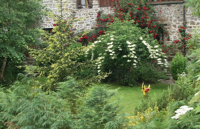 Agroturismo Amalau - Photo 18