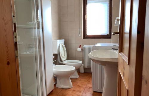 Trentino Apartments - Casa Aurora - Foto 36